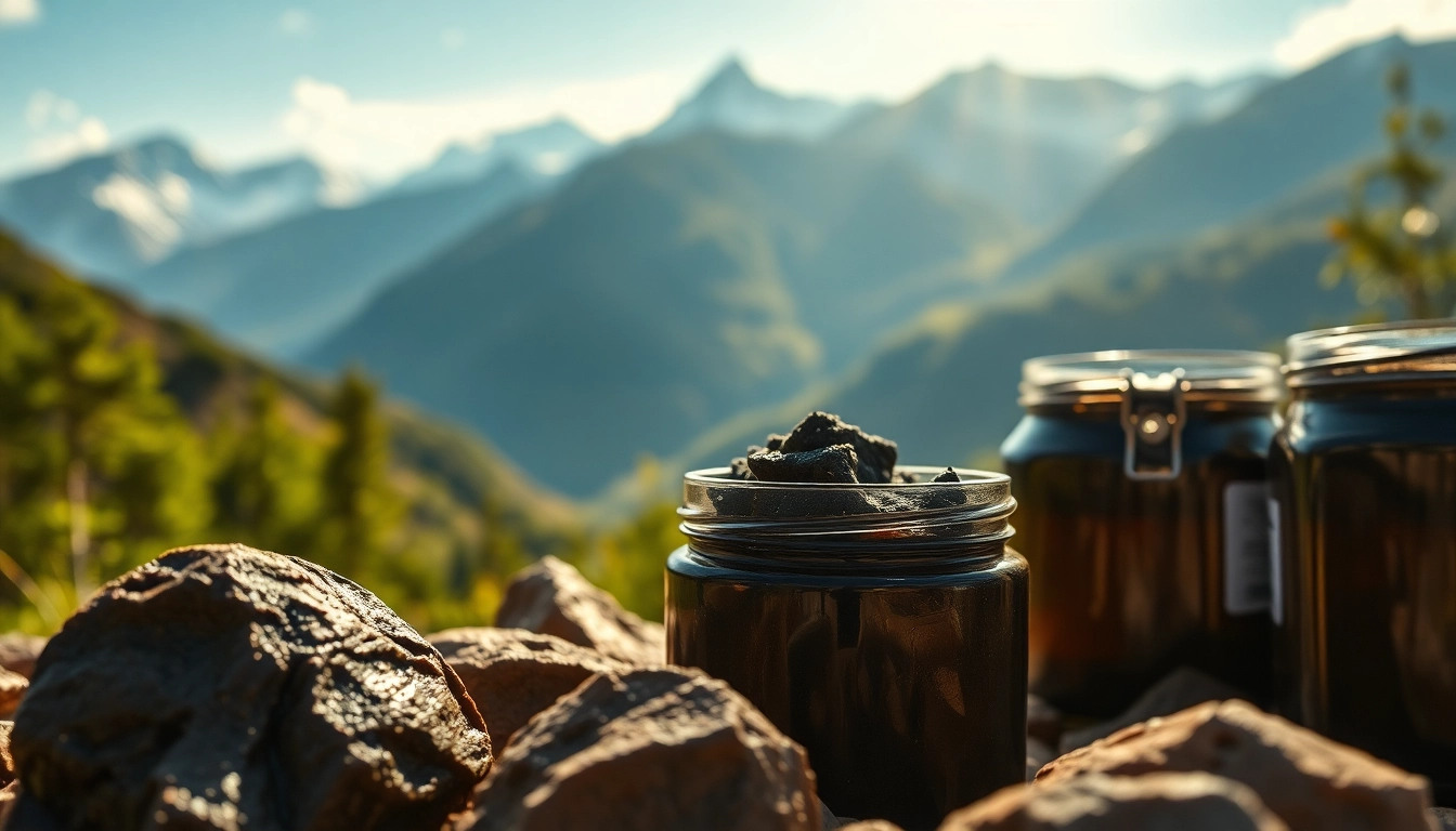 Where to Find Authentic Raw Shilajit in the UK for Health Enthusiasts